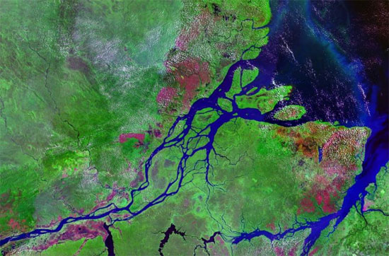 Picture 2 of The Amazon River emits most of the carbon absorbed by the Amazon