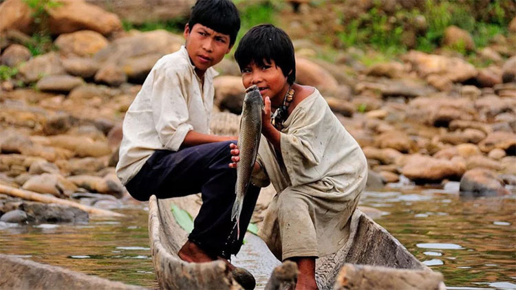 Picture 2 of The Amazon tribe has the healthiest heart in the world