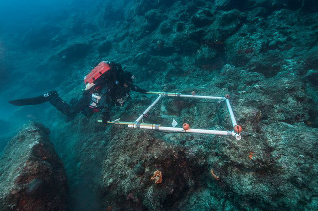 The ancient 'Titanic' secret gradually revealed images 1