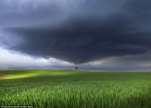 Picture 11 of The anger of Earth's mother