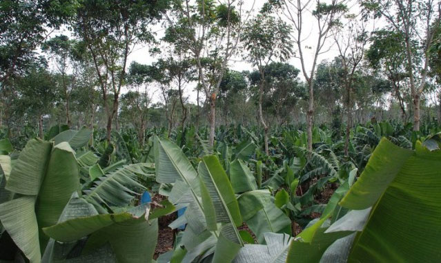 The anti-drought technology in agriculture is remarkable images 6