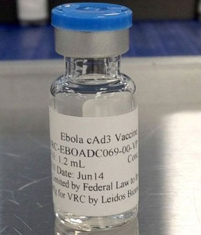 Picture 2 of The anti-Ebola vaccine is about to be tested on a large scale