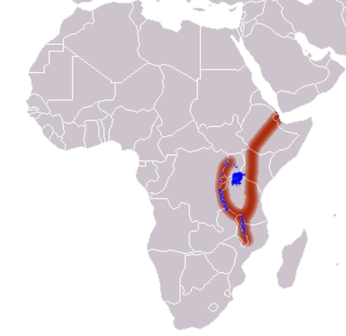 The Appearance Of Huge Fissures Evidence Of Africa Began To Split Into