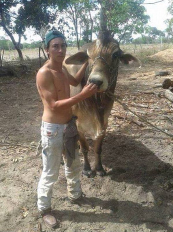 Picture 2 of The appearance of unicorns caused a stir because it was too different