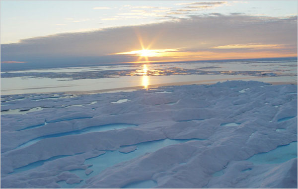 The Arctic ice will disappear in the next 10 years? images 1