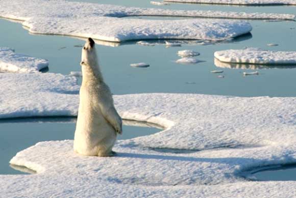 Picture 1 of The Arctic Sea is the hottest 2,000 years