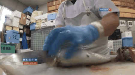 Picture 3 of The arduous journey for Japanese chefs is allowed to process puffer fish