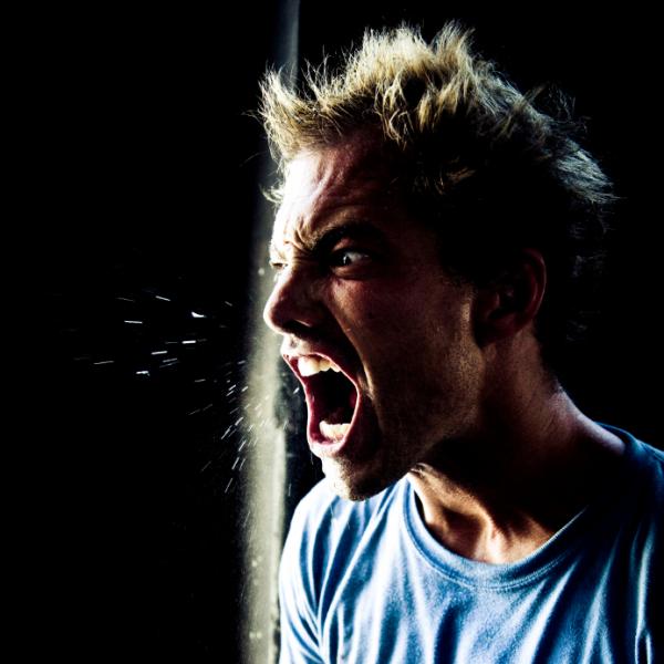 Picture 1 of The area that perceives the hate feelings of the brain