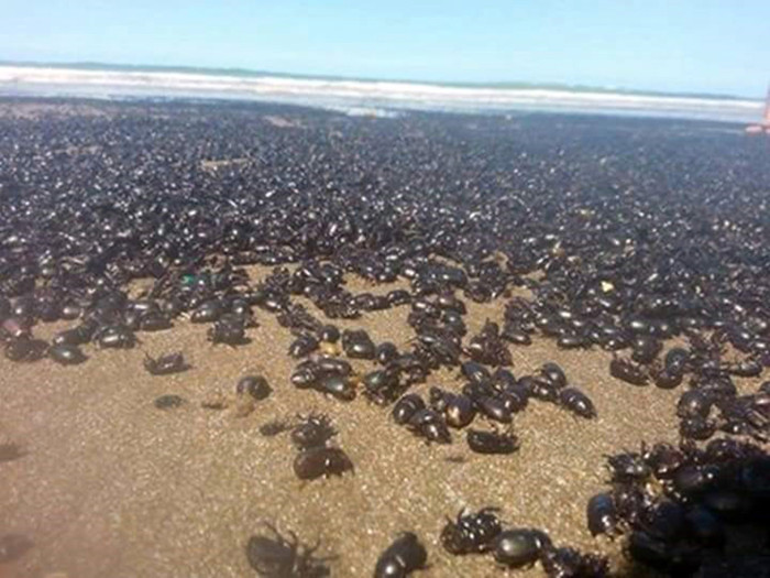 Picture 1 of The Argentine typhoon sealed the end of the world?
