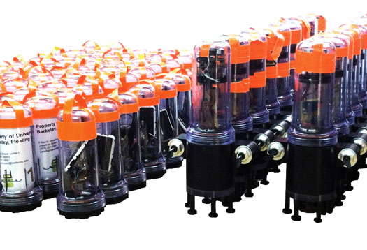 Picture 1 of The army of robots swims along the river in California