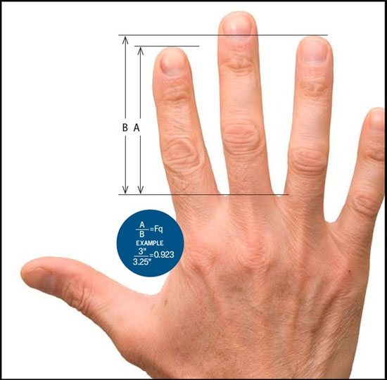 Picture 4 of The art of hand watching makes the scientific community nod their heads