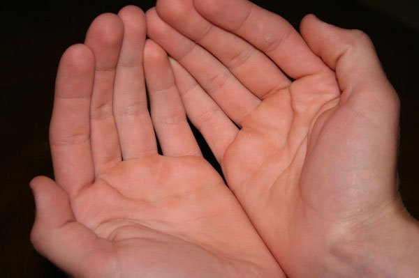 Picture 8 of The art of hand watching makes the scientific community nod their heads