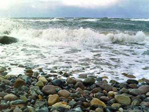 Picture 1 of The Baltic Sea has the tastiest salty taste