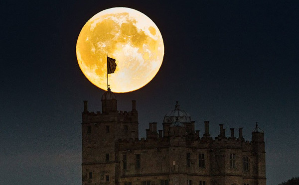Picture 14 of The beautiful 'super moon' around the world