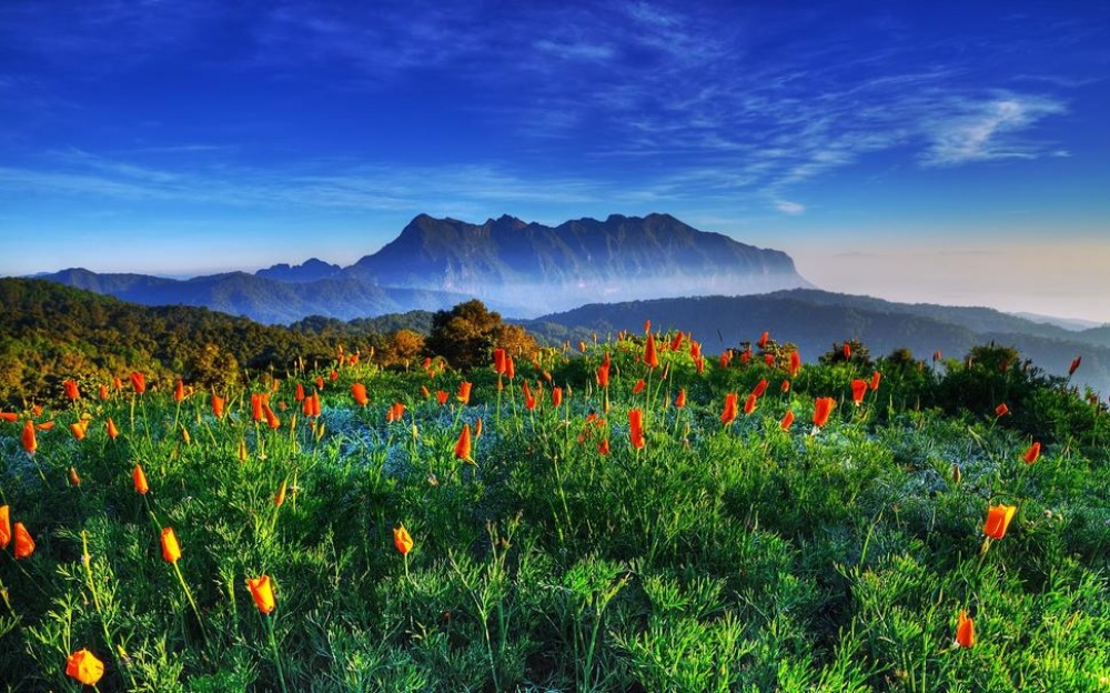 Picture 1 of The beauty of 'hard to resist' of 20 places in the world when spring comes