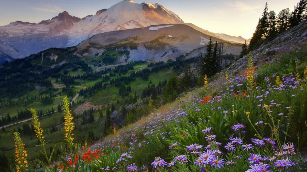 Picture 11 of The beauty of 'hard to resist' of 20 places in the world when spring comes