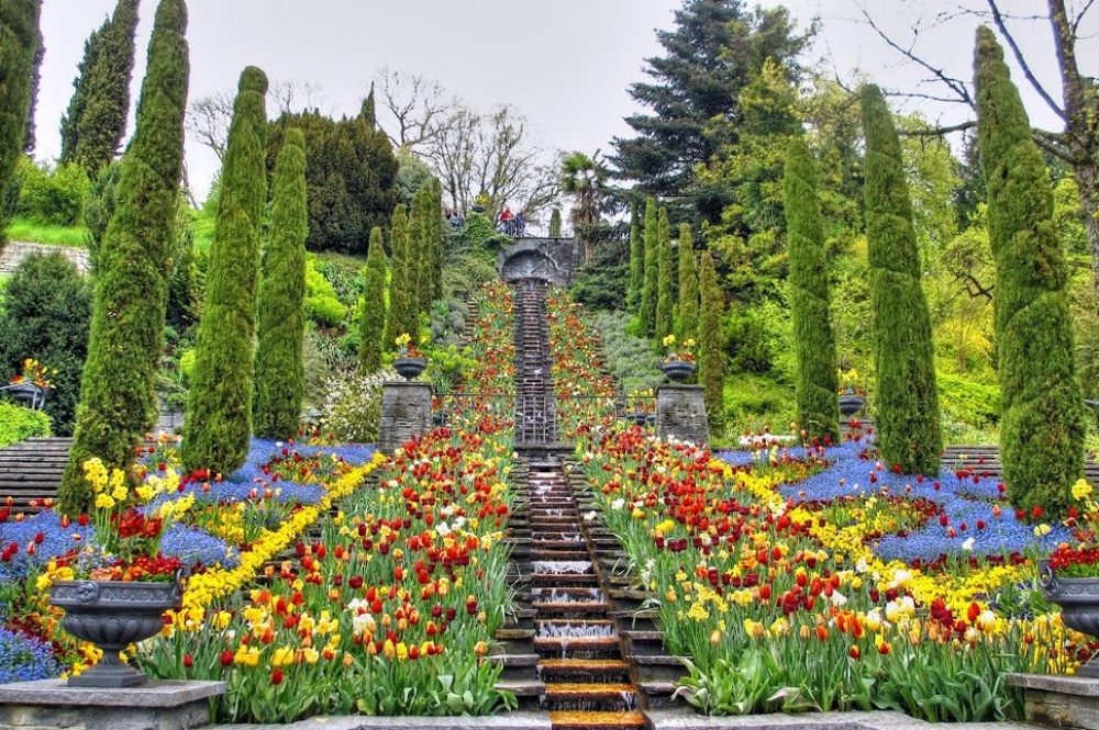 Picture 14 of The beauty of 'hard to resist' of 20 places in the world when spring comes