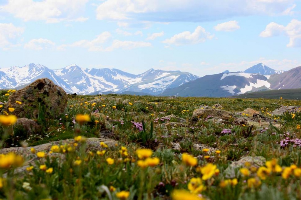 Picture 15 of The beauty of 'hard to resist' of 20 places in the world when spring comes
