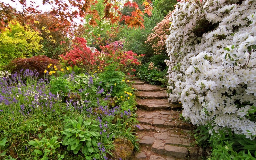 Picture 16 of The beauty of 'hard to resist' of 20 places in the world when spring comes