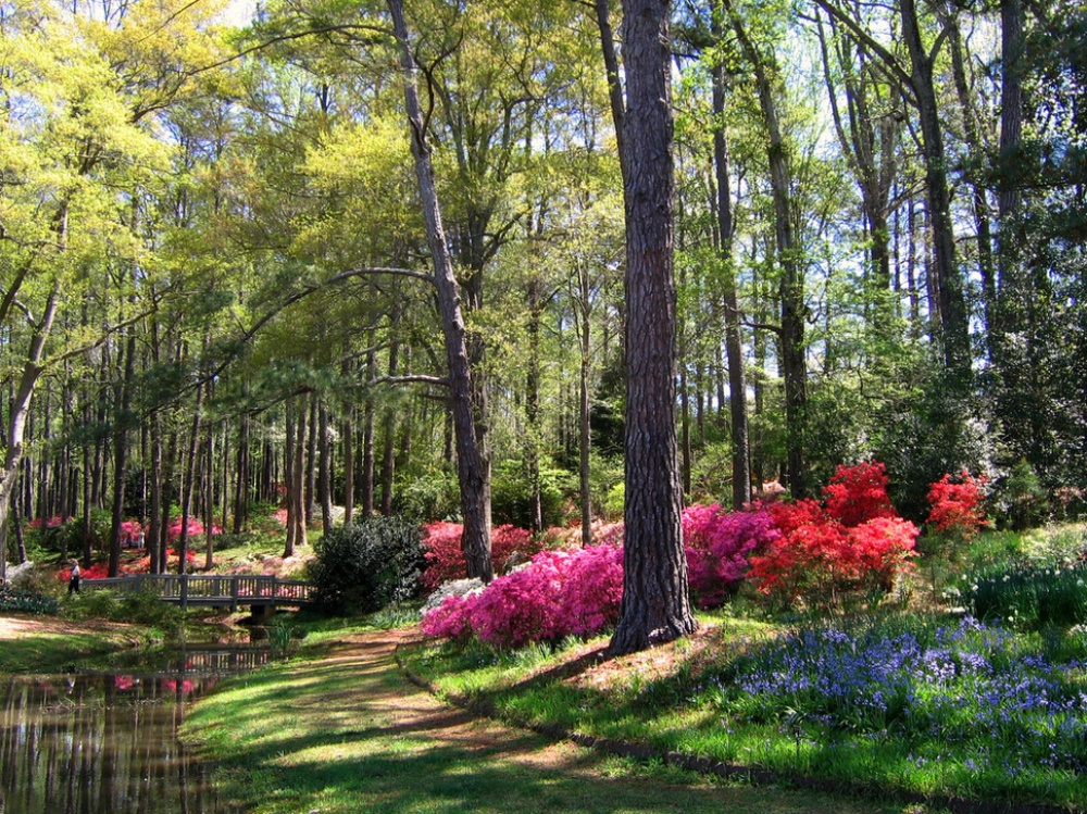 Picture 17 of The beauty of 'hard to resist' of 20 places in the world when spring comes