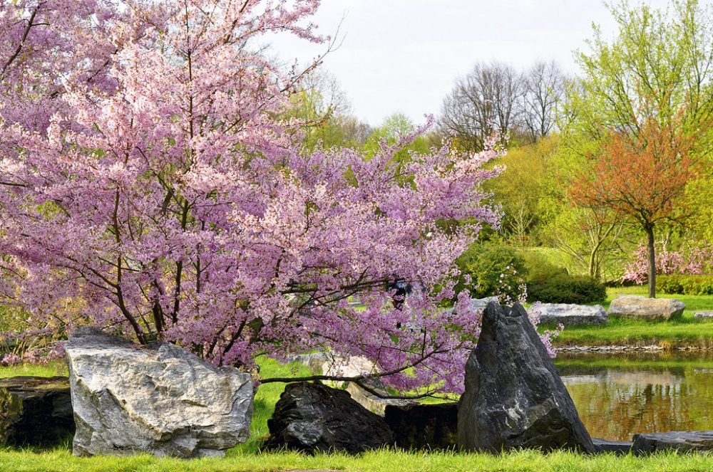 Picture 19 of The beauty of 'hard to resist' of 20 places in the world when spring comes