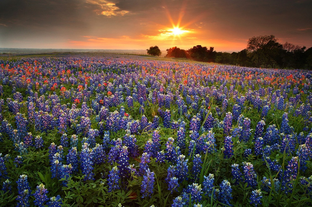 Picture 20 of The beauty of 'hard to resist' of 20 places in the world when spring comes