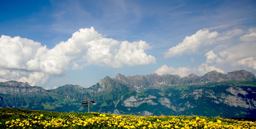Picture 3 of The beauty of 'hard to resist' of 20 places in the world when spring comes