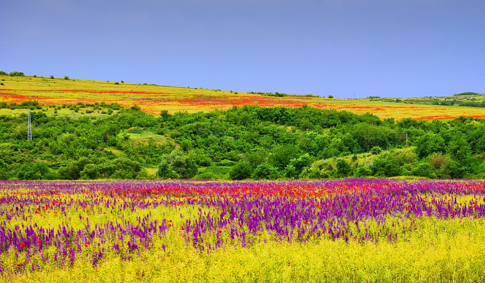 Picture 4 of The beauty of 'hard to resist' of 20 places in the world when spring comes