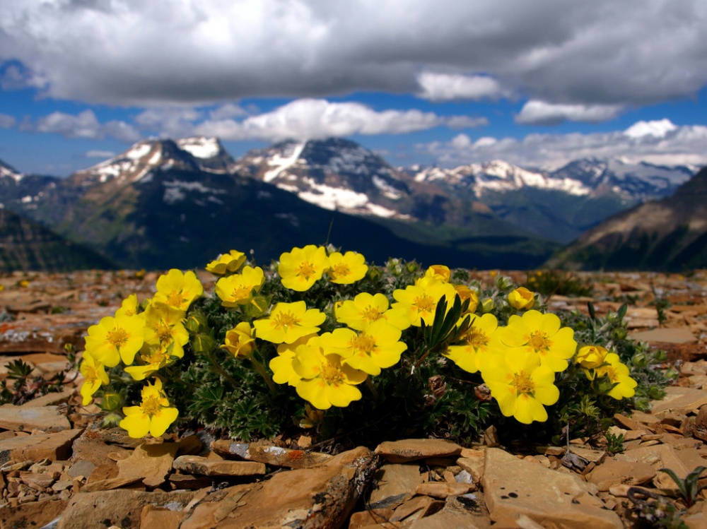 Picture 7 of The beauty of 'hard to resist' of 20 places in the world when spring comes