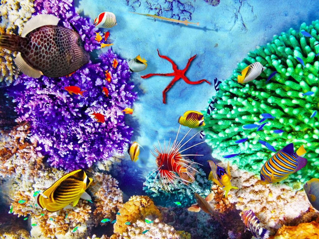 Picture 17 of The beauty of the only natural wonder seen from the universe