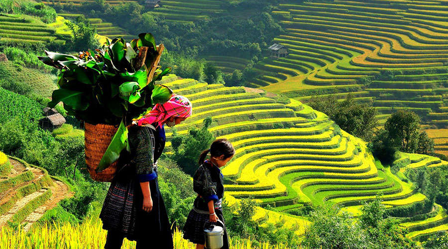 Picture 18 of The beauty of Vietnam is just like foreign countries