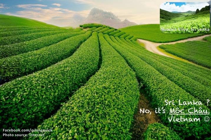 Picture 20 of The beauty of Vietnam is just like foreign countries