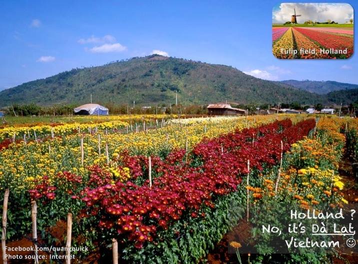 Picture 23 of The beauty of Vietnam is just like foreign countries