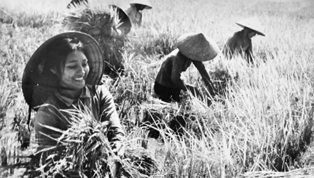 Picture 13 of The beauty of Vietnamese women in the past and now