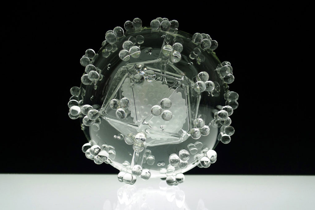 Picture 11 of The beauty of virus through glass sculpture model
