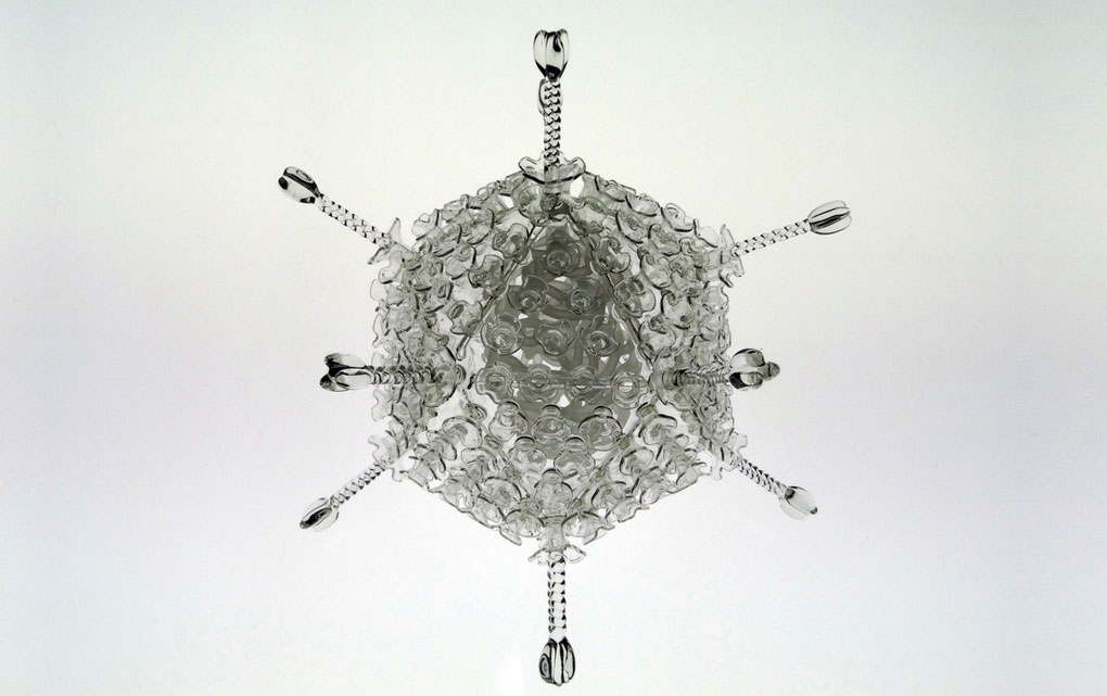 Picture 12 of The beauty of virus through glass sculpture model