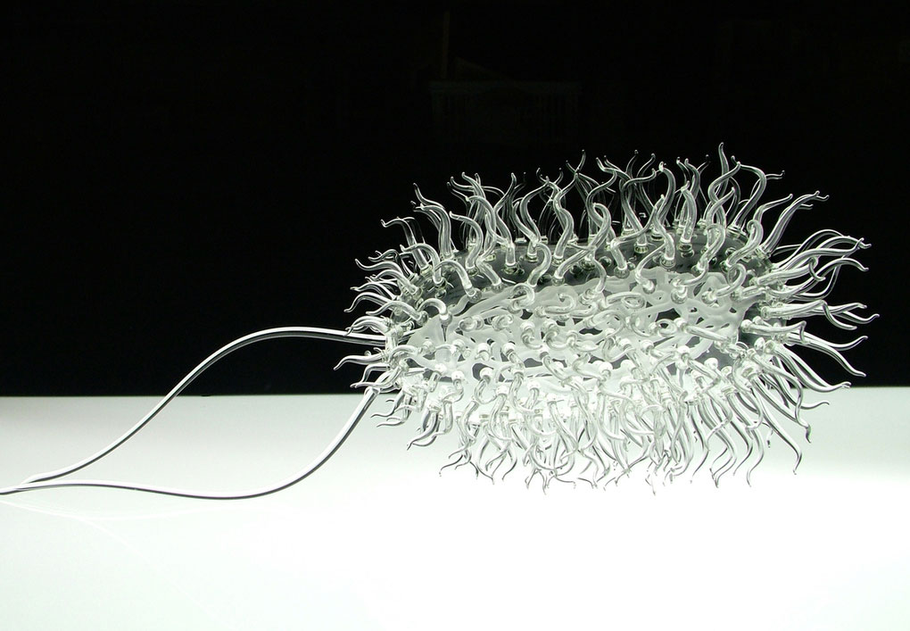 Picture 6 of The beauty of virus through glass sculpture model