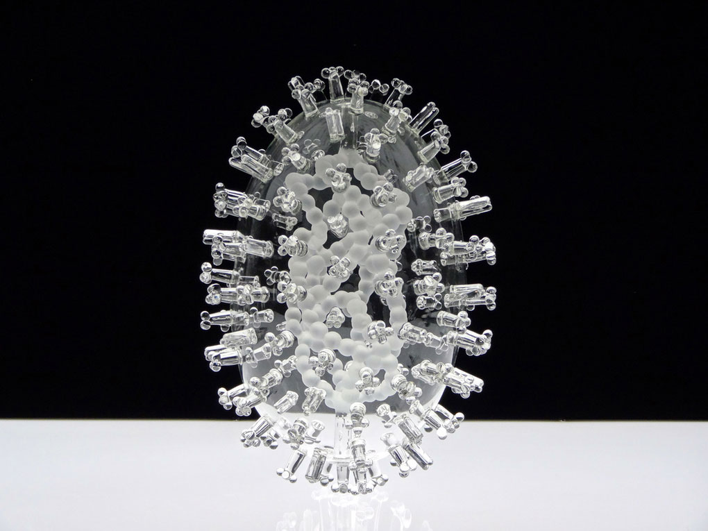 Picture 8 of The beauty of virus through glass sculpture model