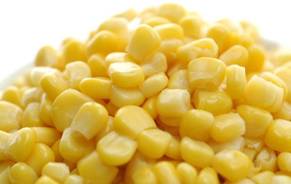 Picture 2 of The benefits of sweet corn that you don't know yet