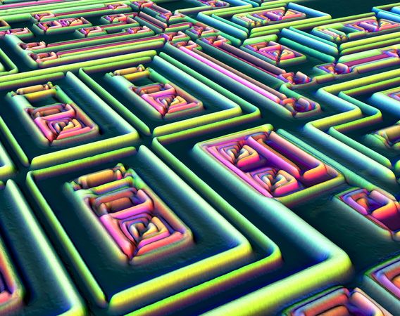 Picture 5 of The best Micro photos in 2011