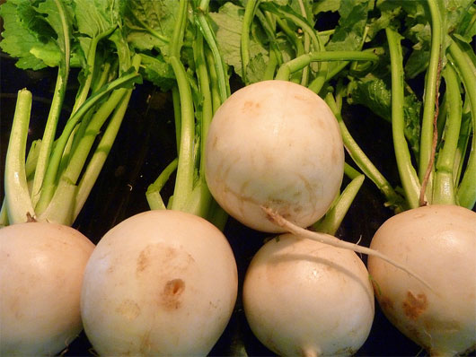 Picture 2 of The best parts of vegetables are often removed