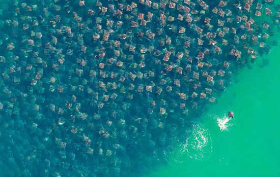 The best photos about the environment in 2010 images 1