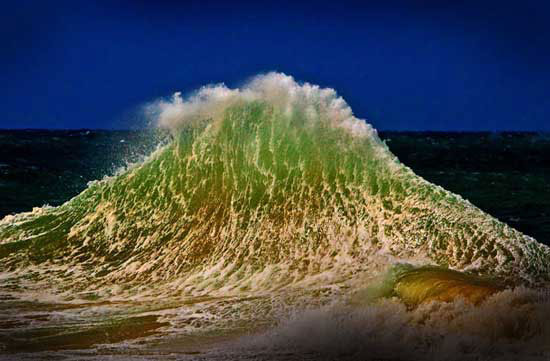 The best photos about the environment in 2010 images 13