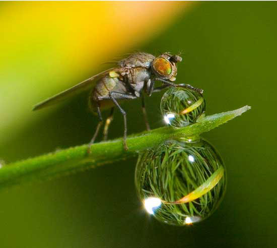 The best photos about the environment in 2010 images 2