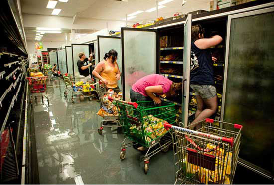 The best photos about the environment in 2010 images 5