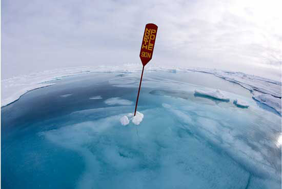 The best photos about the environment in 2010 images 9