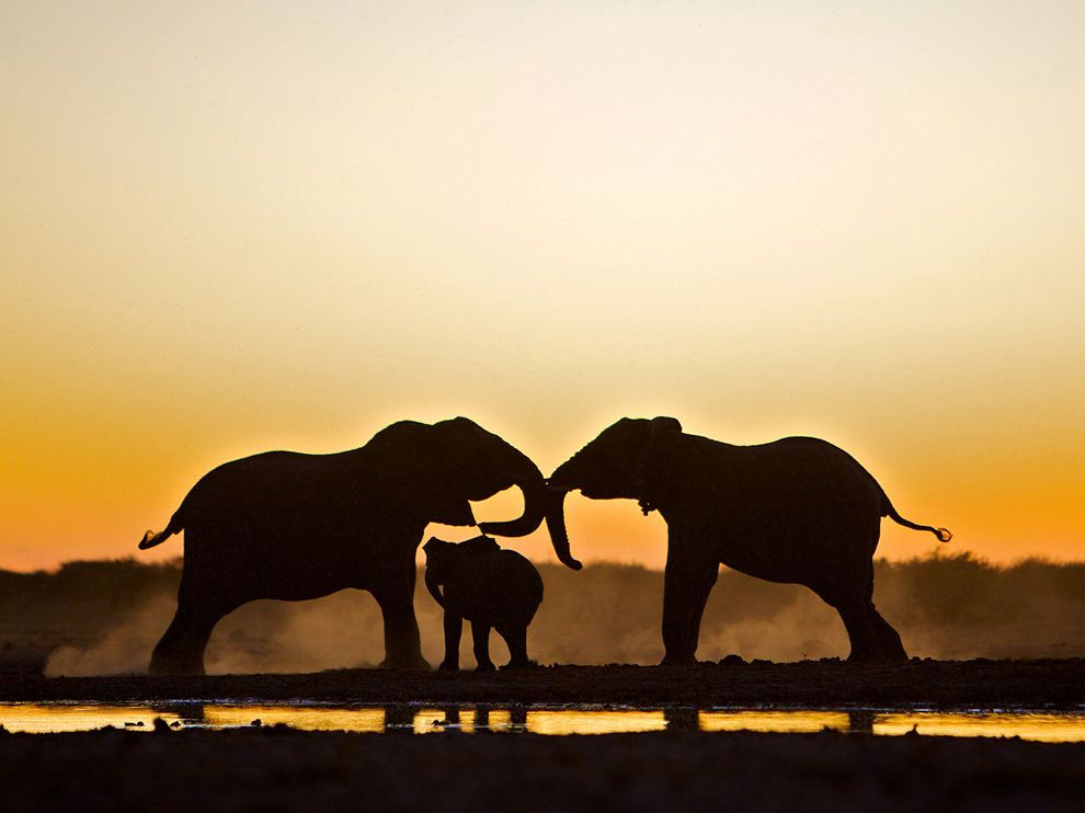 Picture 8 of The best photos in February 2012