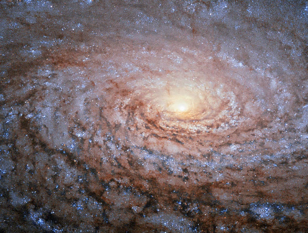 Picture 5 of The best pictures of the universe in 2015