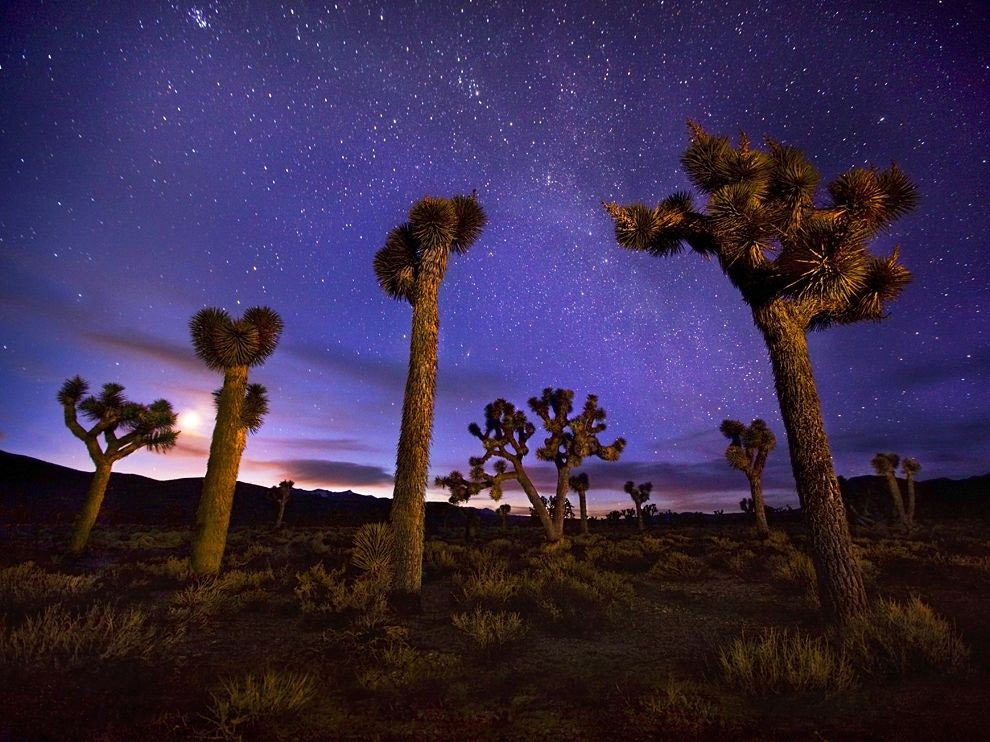 Picture 18 of The best travel photos in 2015