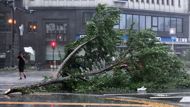 Picture 5 of The biggest super typhoon Jebi in the past 25 years devastated Japan